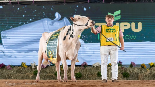 Criadores paranaenses se destacam na Itaipu Rural Show 2026 – Raça Holandesa